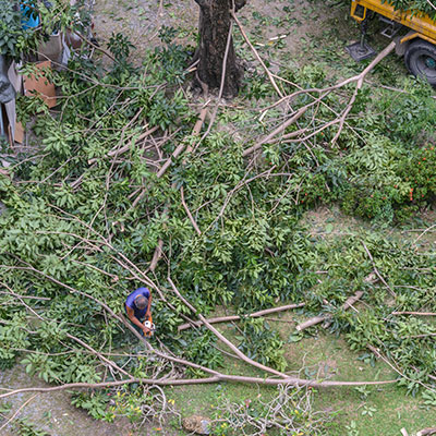 Placeholder Project Title 3